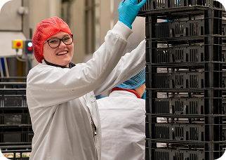 Variabele verpakkingen